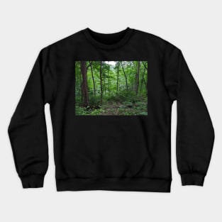 Trees in the Forest Crewneck Sweatshirt